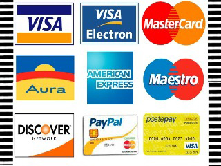 Mollaian pagamento carta di credito sistema paypal pro